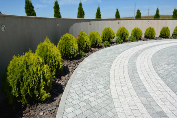 Best Concrete Paver Driveway  in Marks, MS